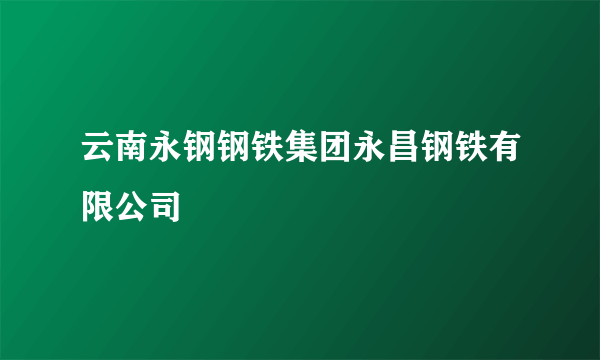 云南永钢钢铁集团永昌钢铁有限公司