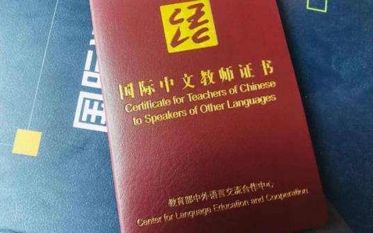 国际中文教师专业能力标准