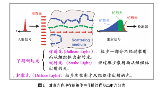 扩散光层析成像