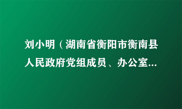 刘小明（湖南省衡阳市衡南县人民政府党组成员、办公室党组书记、主任）