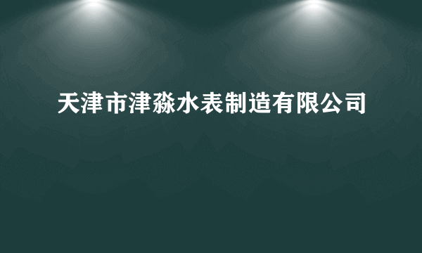 天津市津淼水表制造有限公司