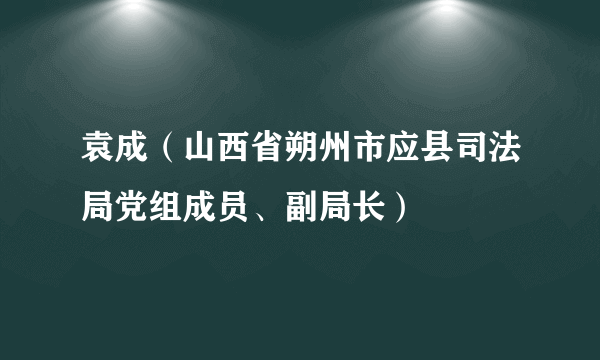 袁成（山西省朔州市应县司法局党组成员、副局长）