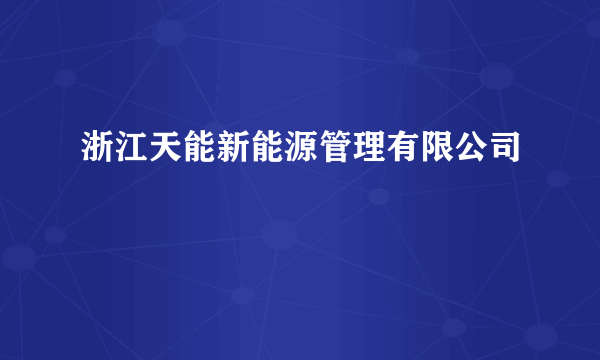 浙江天能新能源管理有限公司