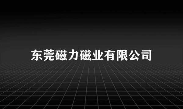 东莞磁力磁业有限公司