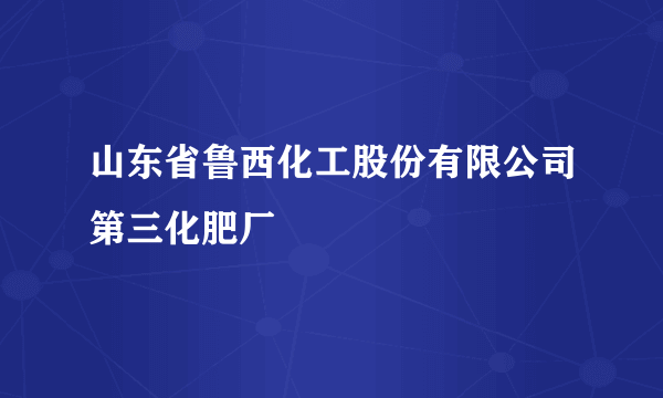 山东省鲁西化工股份有限公司第三化肥厂