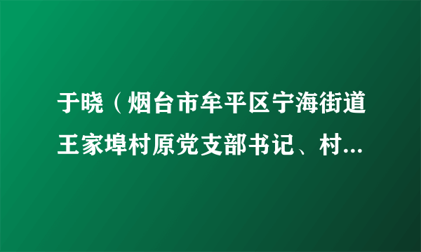 于晓（烟台市牟平区宁海街道王家埠村原党支部书记、村委会主任）