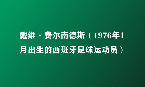 戴维·费尔南德斯（1976年1月出生的西班牙足球运动员）