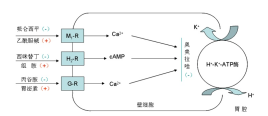 抗胃分泌药