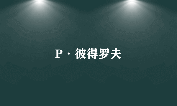 P·彼得罗夫