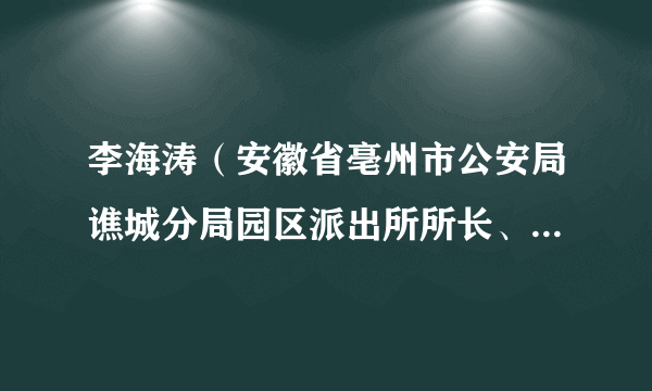 李海涛（安徽省亳州市公安局谯城分局园区派出所所长、一级警长）