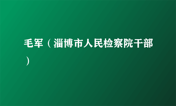 毛军（淄博市人民检察院干部）