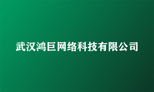 武汉鸿巨网络科技有限公司