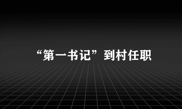 “第一书记”到村任职