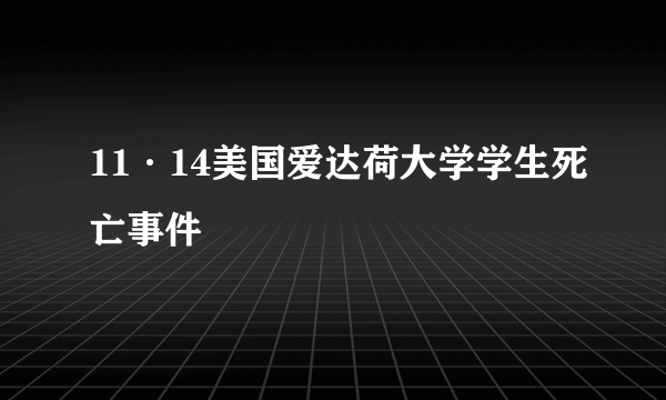 11·14美国爱达荷大学学生死亡事件