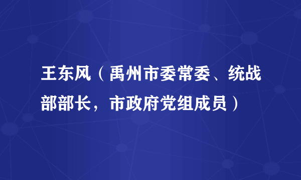 王东风（禹州市委常委、统战部部长，市政府党组成员）