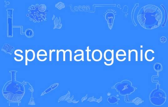 spermatogenic