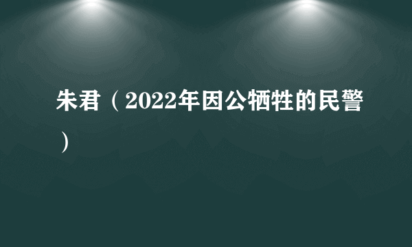 朱君（2022年因公牺牲的民警）