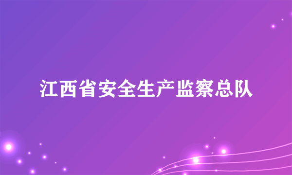 江西省安全生产监察总队