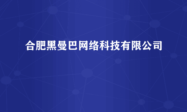 合肥黑曼巴网络科技有限公司