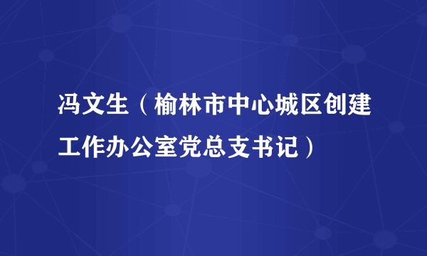 冯文生（榆林市中心城区创建工作办公室党总支书记）