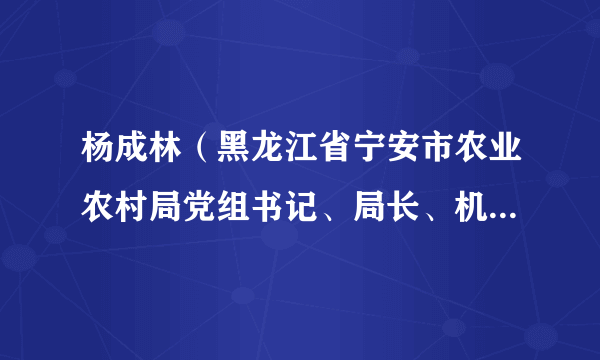 杨成林（黑龙江省宁安市农业农村局党组书记、局长、机关党委书记）