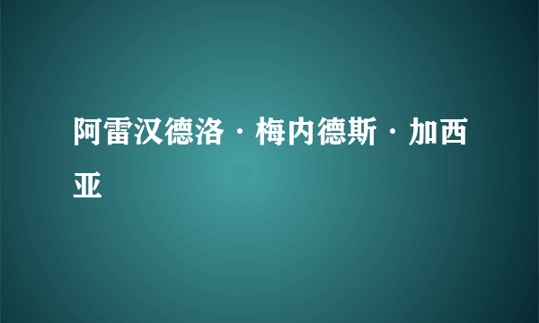 阿雷汉德洛·梅内德斯·加西亚