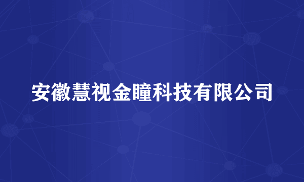 安徽慧视金瞳科技有限公司