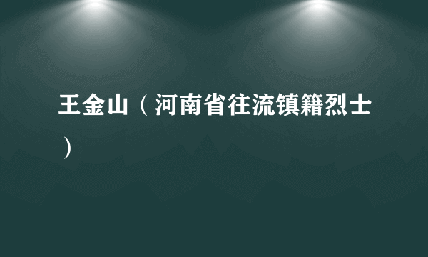 王金山（河南省往流镇籍烈士）