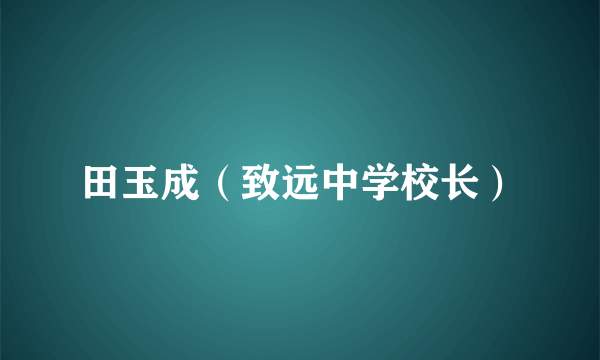 田玉成（致远中学校长）