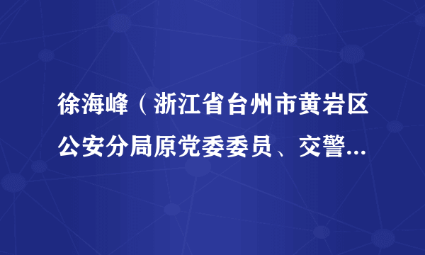 徐海峰（浙江省台州市黄岩区公安分局原党委委员、交警局直属二大队原大队长）