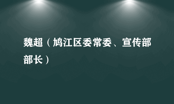 魏超（鸠江区委常委、宣传部部长）