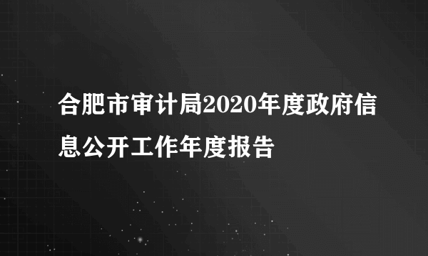 合肥市审计局2020年度政府信息公开工作年度报告