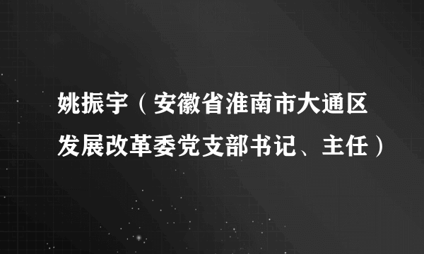 姚振宇（安徽省淮南市大通区发展改革委党支部书记、主任）