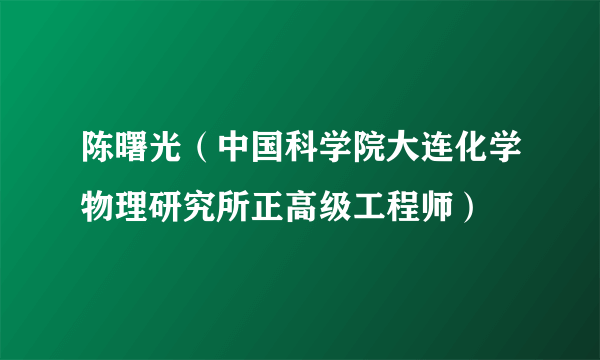 陈曙光（中国科学院大连化学物理研究所正高级工程师）