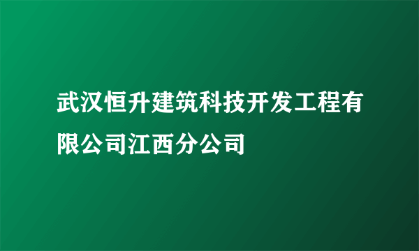 武汉恒升建筑科技开发工程有限公司江西分公司