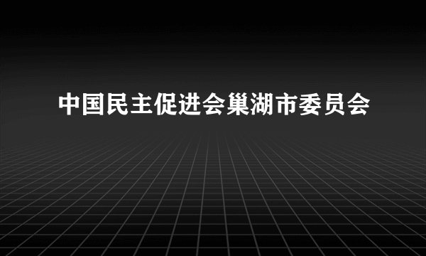 中国民主促进会巢湖市委员会