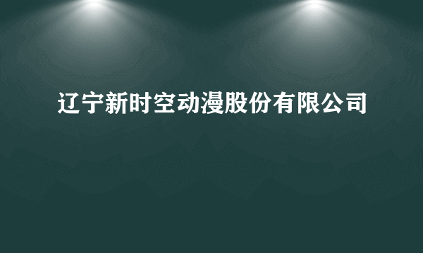 辽宁新时空动漫股份有限公司