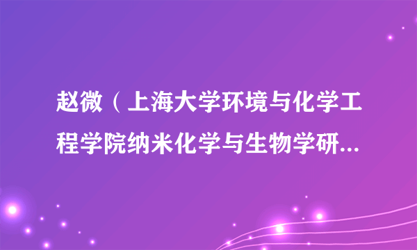 赵微（上海大学环境与化学工程学院纳米化学与生物学研究所研究员、博士生导师）