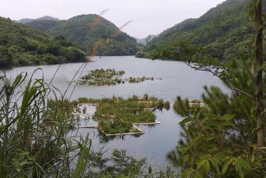 东江源村（江西省赣州市寻乌县三标乡下辖村）