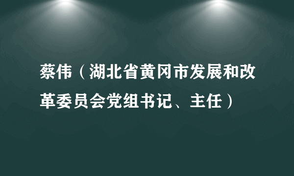 蔡伟（湖北省黄冈市发展和改革委员会党组书记、主任）