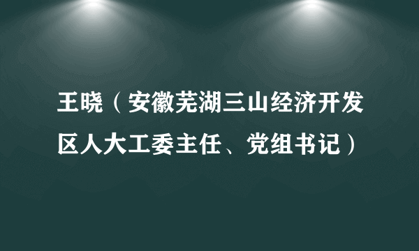 王晓（安徽芜湖三山经济开发区人大工委主任、党组书记）