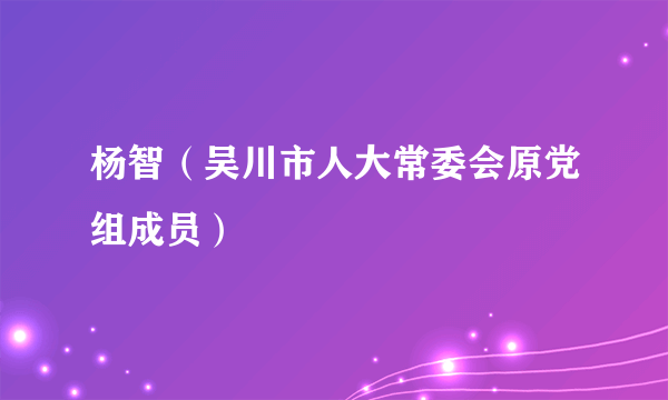 杨智（吴川市人大常委会原党组成员）