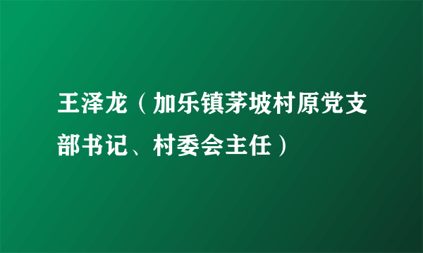 王泽龙（加乐镇茅坡村原党支部书记、村委会主任）