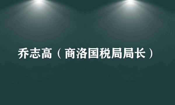 乔志高（商洛国税局局长）