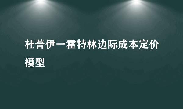 杜普伊一霍特林边际成本定价模型